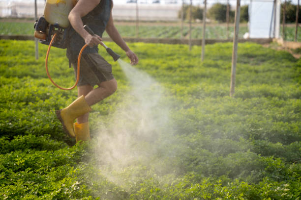 Best Best Pest Control Companies  in Mendota Heights, MN