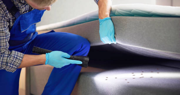 Best Pest Control for Businesses  in Mendota Heights, MN
