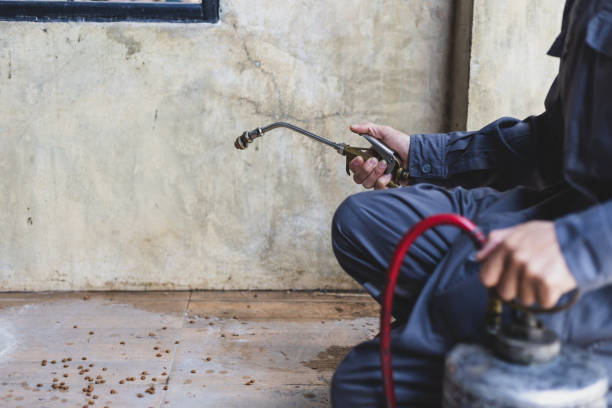 Best Best Pest Control Companies  in Mendota Heights, MN